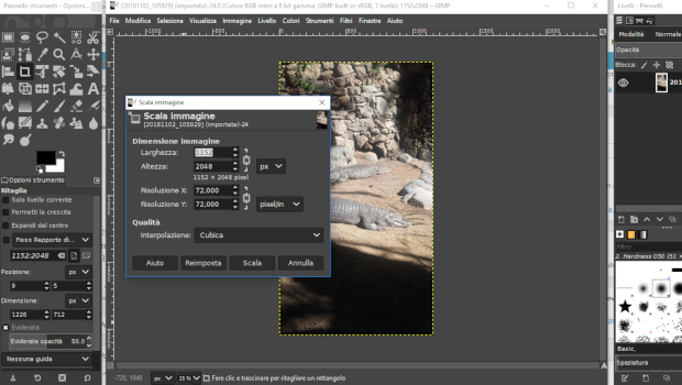 schermata per ridimensionare il file in gimp